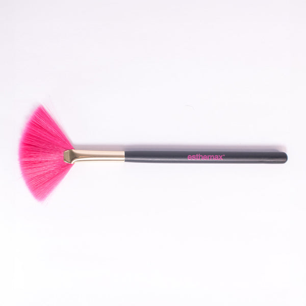 Fan Brush